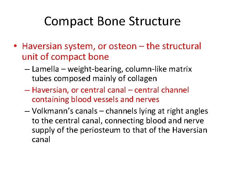 Compact Bone Structure • Haversian system, or osteon – the structural unit of compact