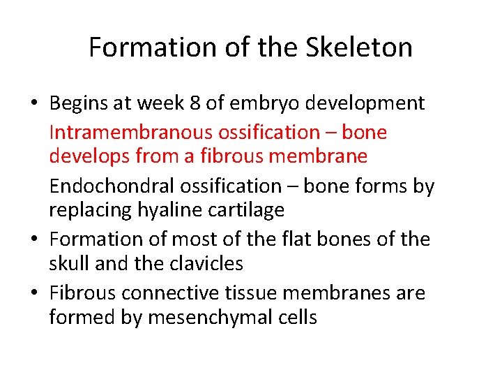 Formation of the Skeleton • Begins at week 8 of embryo development Intramembranous ossification