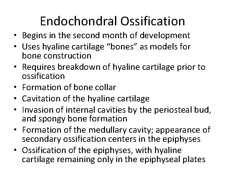 Endochondral Ossification • Begins in the second month of development • Uses hyaline cartilage