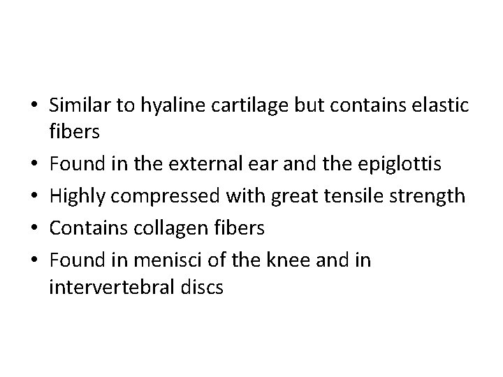  • Similar to hyaline cartilage but contains elastic fibers • Found in the