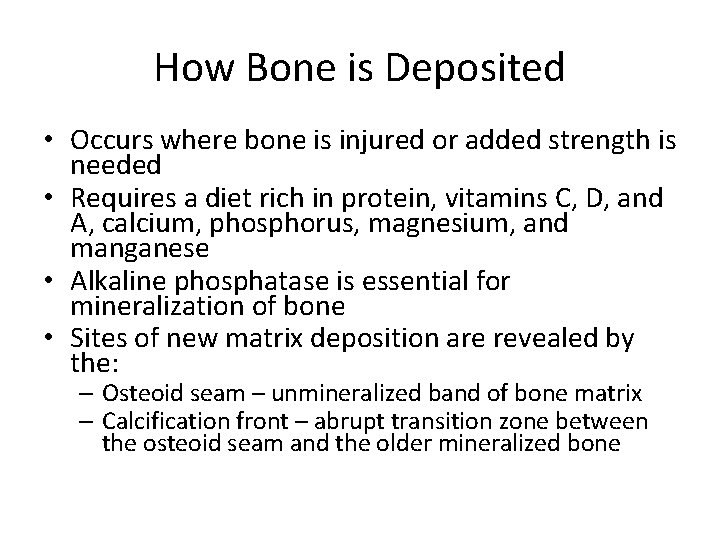 How Bone is Deposited • Occurs where bone is injured or added strength is