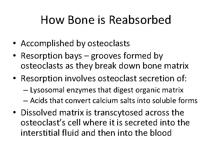 How Bone is Reabsorbed • Accomplished by osteoclasts • Resorption bays – grooves formed