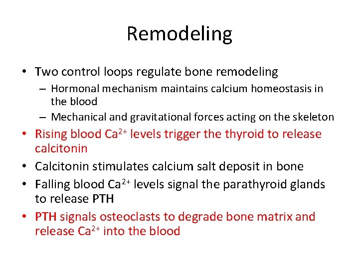 Remodeling • Two control loops regulate bone remodeling – Hormonal mechanism maintains calcium homeostasis