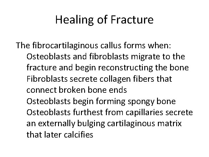 Healing of Fracture The fibrocartilaginous callus forms when: Osteoblasts and fibroblasts migrate to the