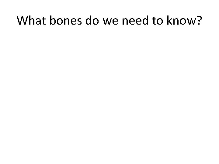 What bones do we need to know? 