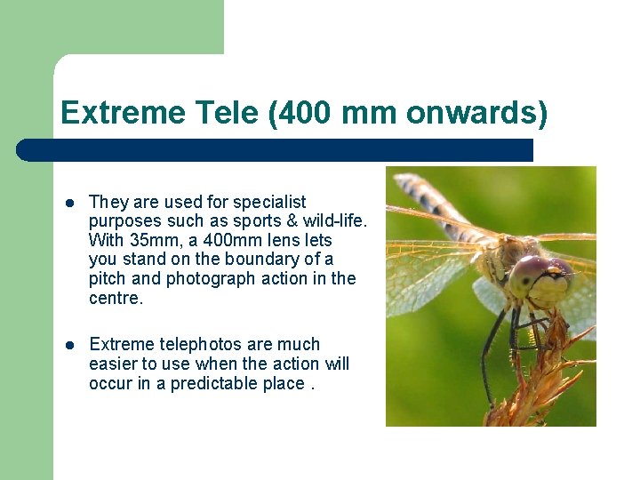 Extreme Tele (400 mm onwards) l They are used for specialist purposes such as