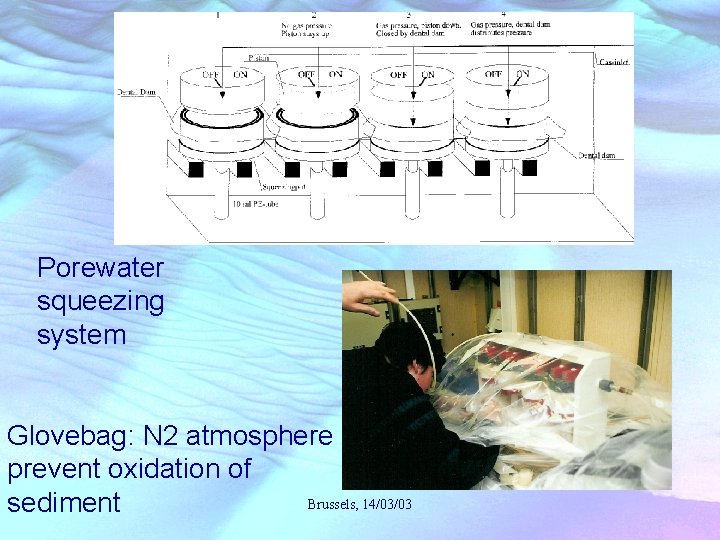 Porewater squeezing system Glovebag: N 2 atmosphere prevent oxidation of Brussels, 14/03/03 sediment 