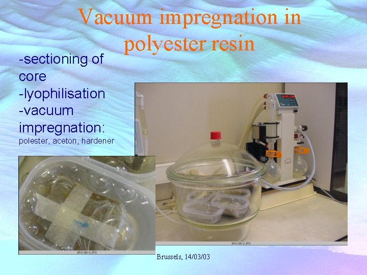 Vacuum impregnation in polyester resin -sectioning of core -lyophilisation -vacuum impregnation: polester, aceton, hardener