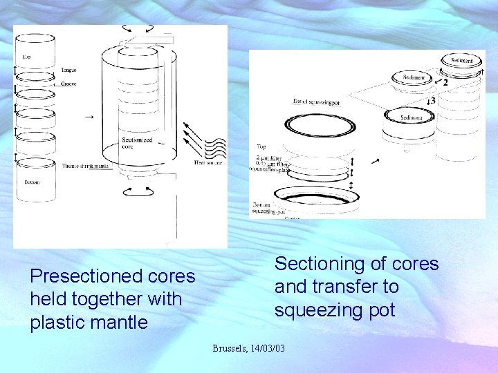 Presectioned cores held together with plastic mantle Sectioning of cores and transfer to squeezing