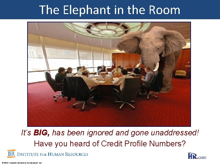 The Elephant in the Room It’s BIG, has been ignored and gone unaddressed! Have