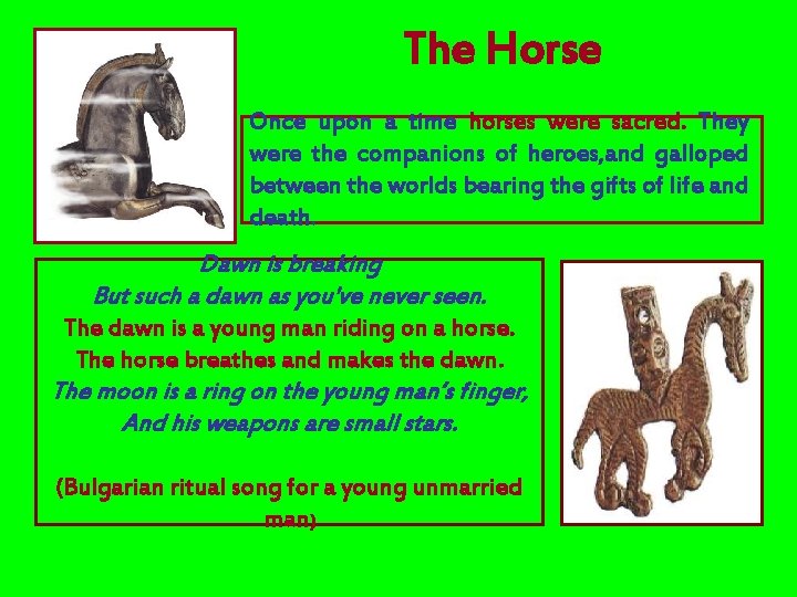 The Horse Once upon a time horses were sacred. They were the companions of