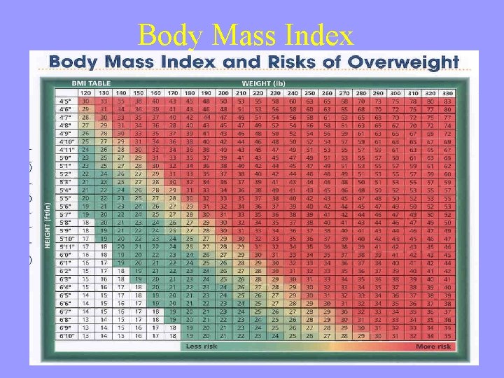 Body Mass Index 