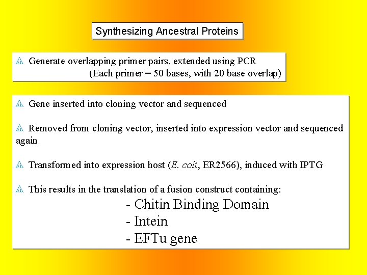 Synthesizing Ancestral Proteins Generate overlapping primer pairs, extended using PCR (Each primer = 50