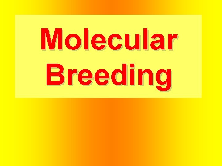 Molecular Breeding 