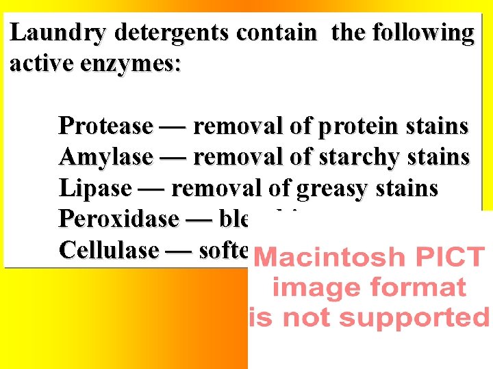 Laundry detergents contain the following active enzymes: Protease — removal of protein stains Amylase