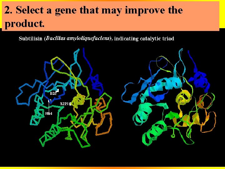 2. Select a gene that may improve the product. 