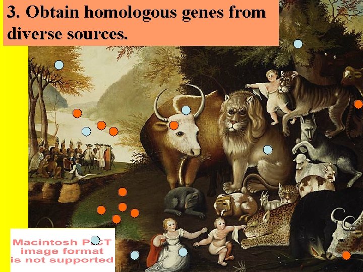 3. Obtain homologous genes from diverse sources. 