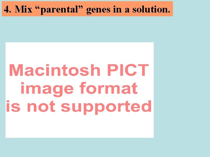 4. Mix “parental” genes in a solution. 