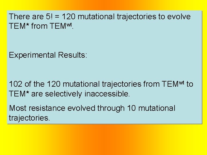 There are 5! = 120 mutational trajectories to evolve TEM* from TEMwt. Experimental Results: