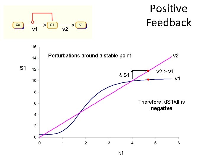 v 1 Positive Feedback v 2 Perturbations around a stable point S 1 v