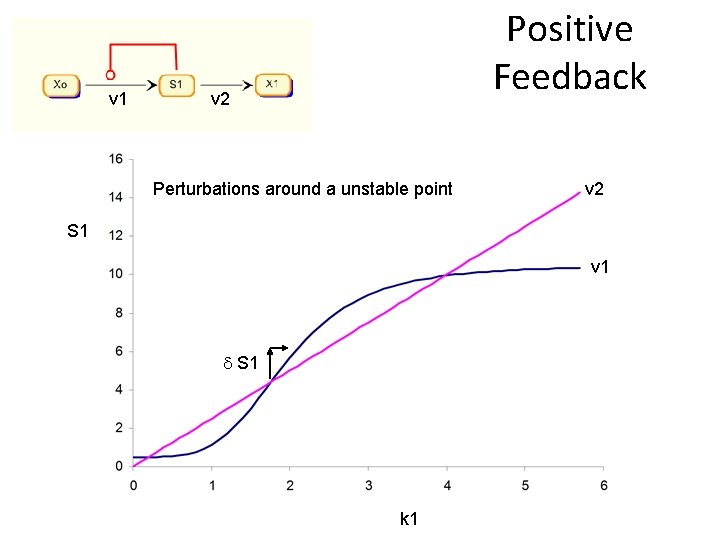 v 1 Positive Feedback v 2 Perturbations around a unstable point v 2 S