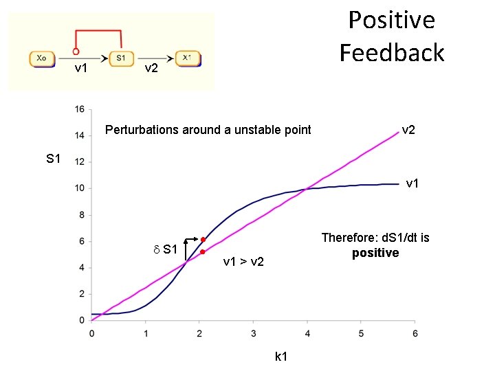 v 1 Positive Feedback v 2 Perturbations around a unstable point v 2 S