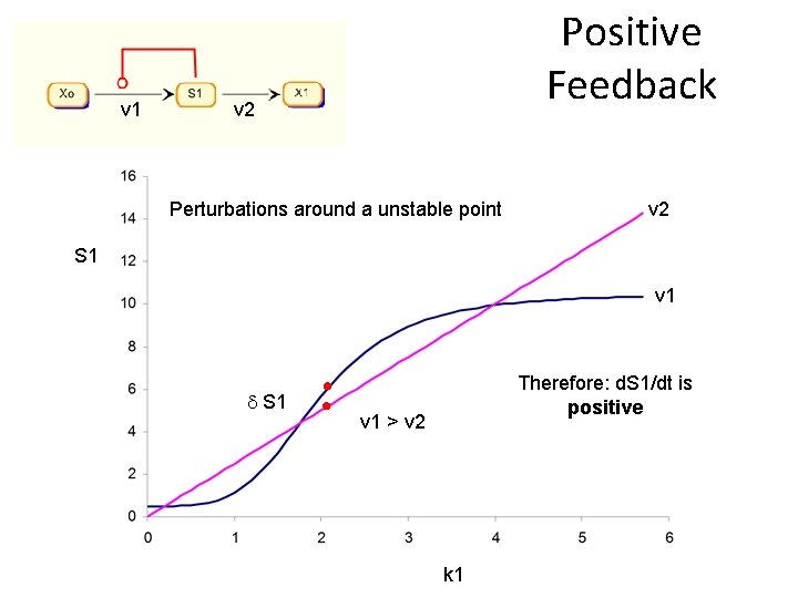v 1 Positive Feedback v 2 Perturbations around a unstable point v 2 S