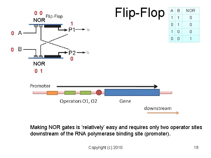 0 0 NOR Flip-Flop 1 0 A B NOR 1 1 0 0 1