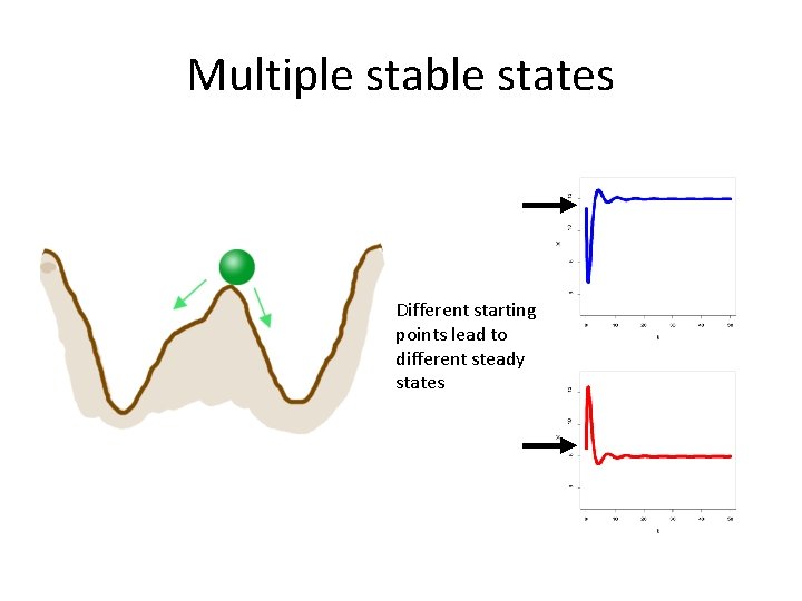 Multiple stable states Different starting points lead to different steady states 