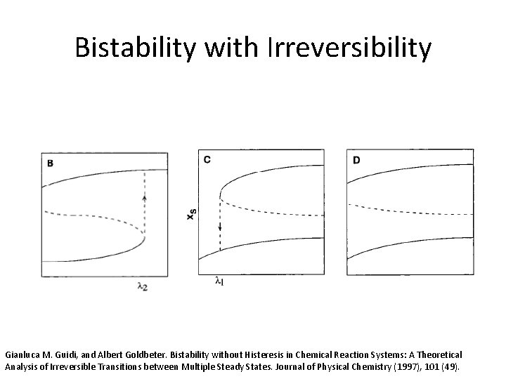 Bistability with Irreversibility Gianluca M. Guidi, and Albert Goldbeter. Bistability without Histeresis in Chemical