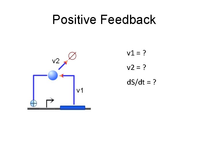 Positive Feedback v 1 = ? v 2 = ? v 1 d. S/dt