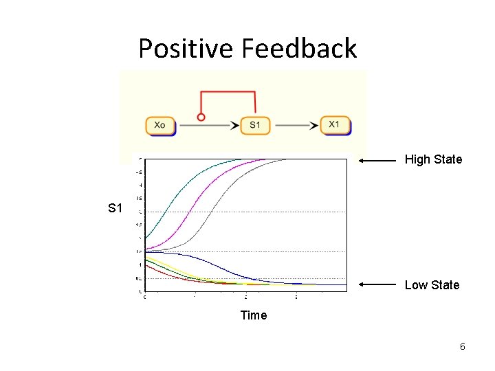 Positive Feedback High State S 1 Low State Time 6 