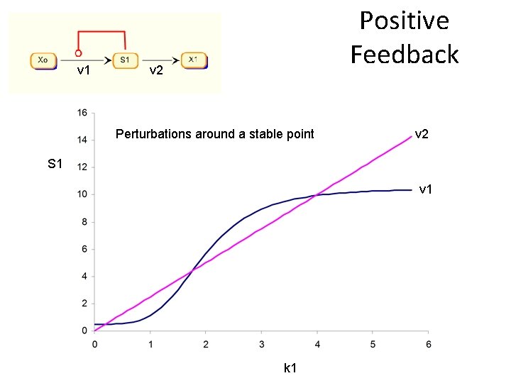 v 1 Positive Feedback v 2 Perturbations around a stable point v 2 S