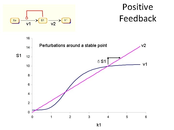 v 1 Positive Feedback v 2 Perturbations around a stable point v 2 S