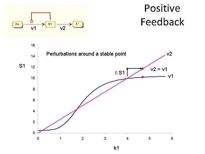 v 1 Positive Feedback v 2 Perturbations around a stable point S 1 k