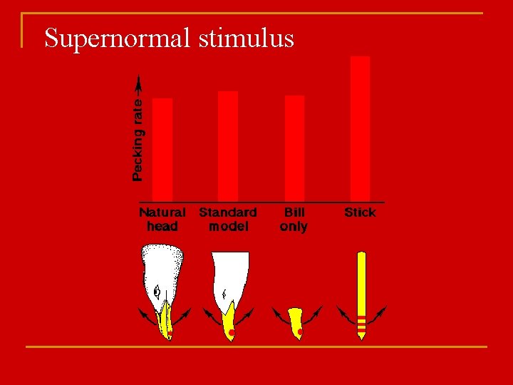 Supernormal stimulus 