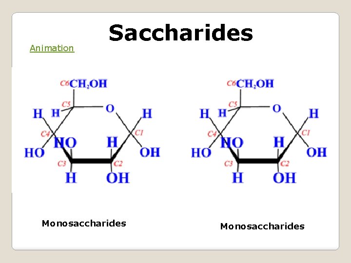 Animation Saccharides Monosaccharides 