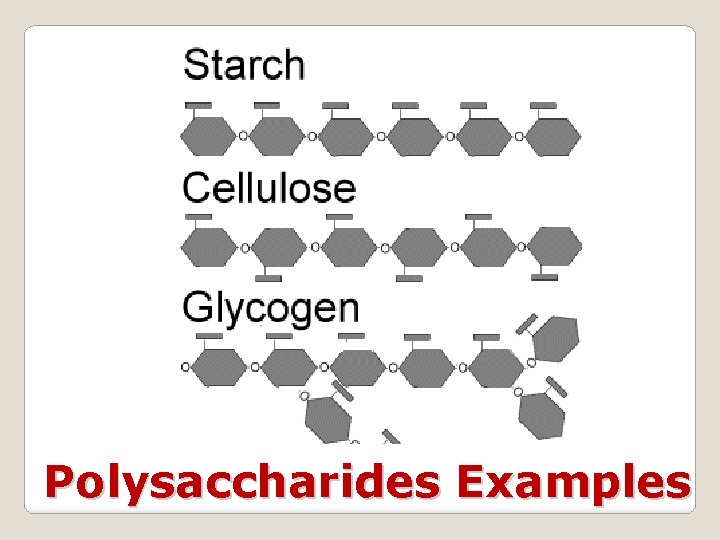 Polysaccharides Examples 