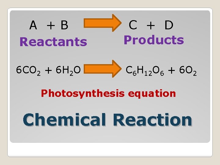 A +B Reactants C + D Products 6 CO 2 + 6 H 2