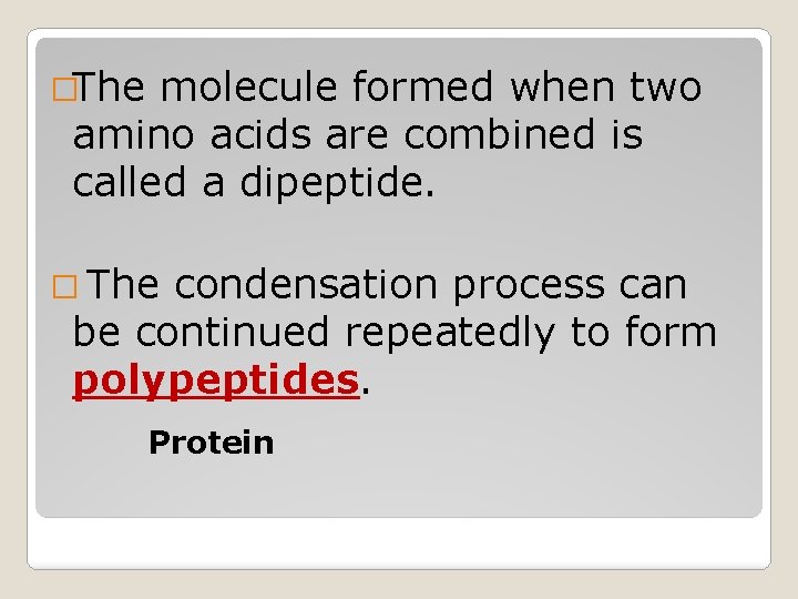 �The molecule formed when two amino acids are combined is called a dipeptide. �