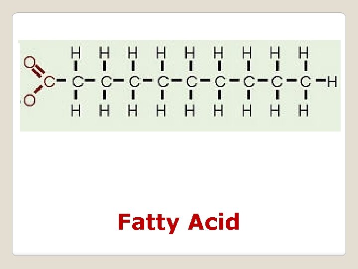 Fatty Acid 