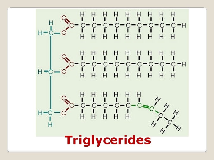 Triglycerides 
