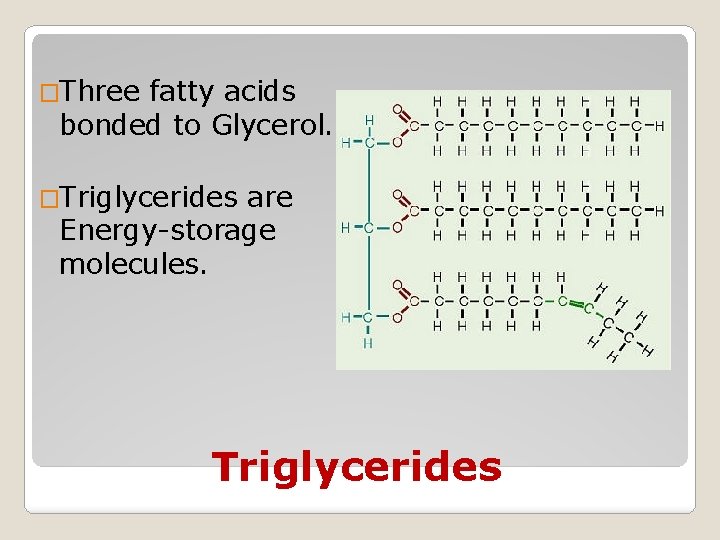 �Three fatty acids bonded to Glycerol. �Triglycerides are Energy-storage molecules. Triglycerides 