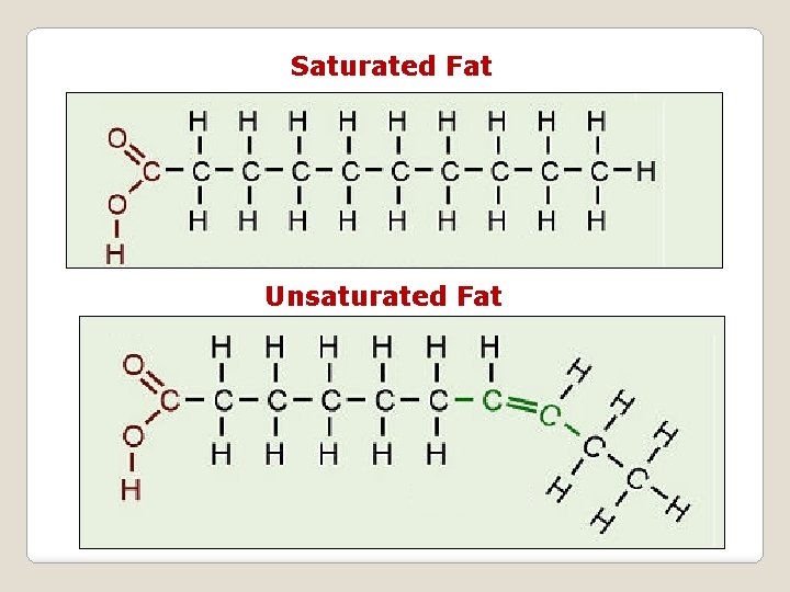 Saturated Fat Unsaturated Fat 