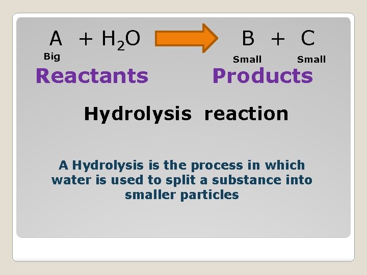 A + H 2 O Big Reactants B + C Small Products Hydrolysis reaction