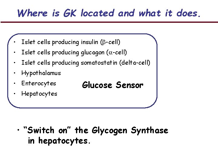 Where is GK located and what it does. • Islet cells producing insulin (