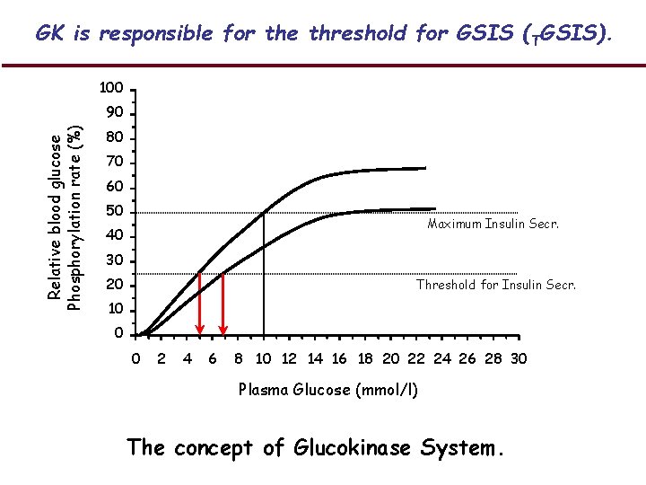GK is responsible for the threshold for GSIS (TGSIS). 100 Relative blood glucose Phosphorylation