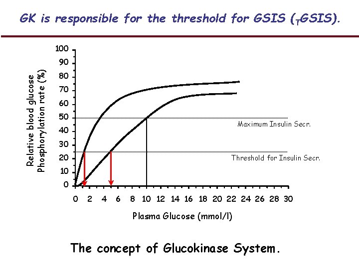 GK is responsible for the threshold for GSIS (TGSIS). 100 Relative blood glucose Phosphorylation