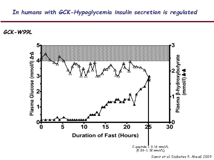 In humans with GCK-Hypoglycemia insulin secretion is regulated GCK-W 99 L C-peptide = 0.