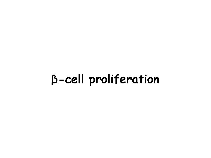 GCK-V 91 L CTRL EGFP β-cell proliferation 